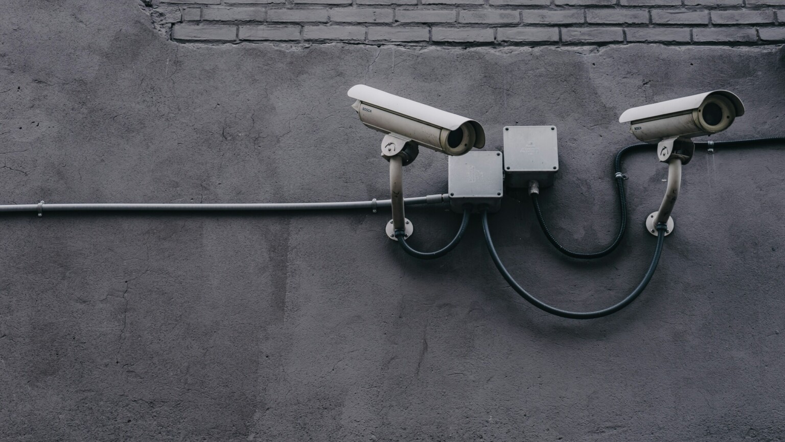 scott-webb-yekGLpc3vro-unsplash